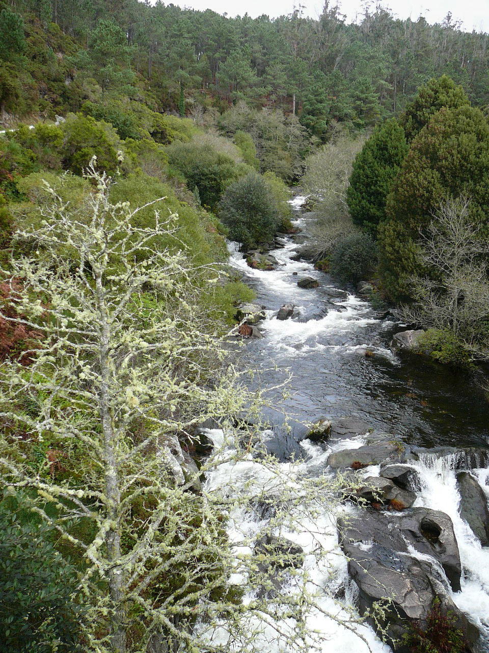 consultoria_medioambiental_051