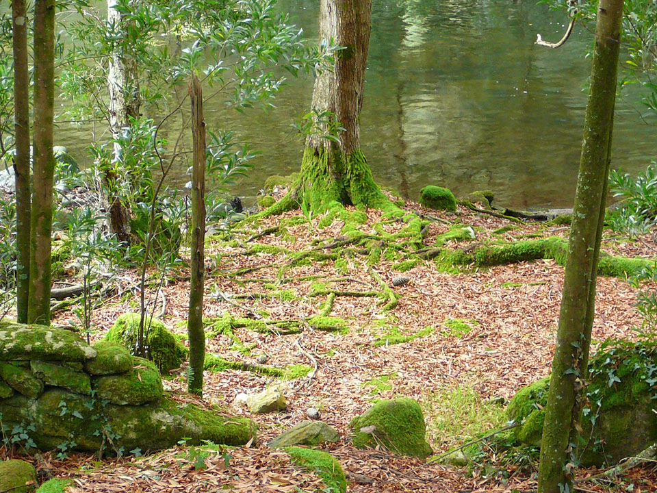 paisajismo_011